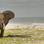 5 playas fascinantes que debes conocer