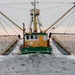 datos curiosos del mar