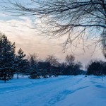 siberia huesos supercurioso