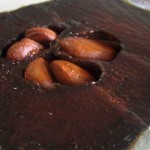 zapote negro chocolate
