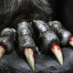 ¿Cuándo y dónde surge la leyenda del Hombre Lobo?