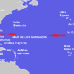 El misterio del mar de los Sargazos y su «infierno verde»