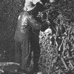 Las Catacumbas de París: un recorrido estremecedor