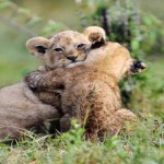 Endorfinas, las hormonas de la felicidad