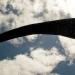 ¿Por qué se extinguieron los dinosaurios? Apatosaurus