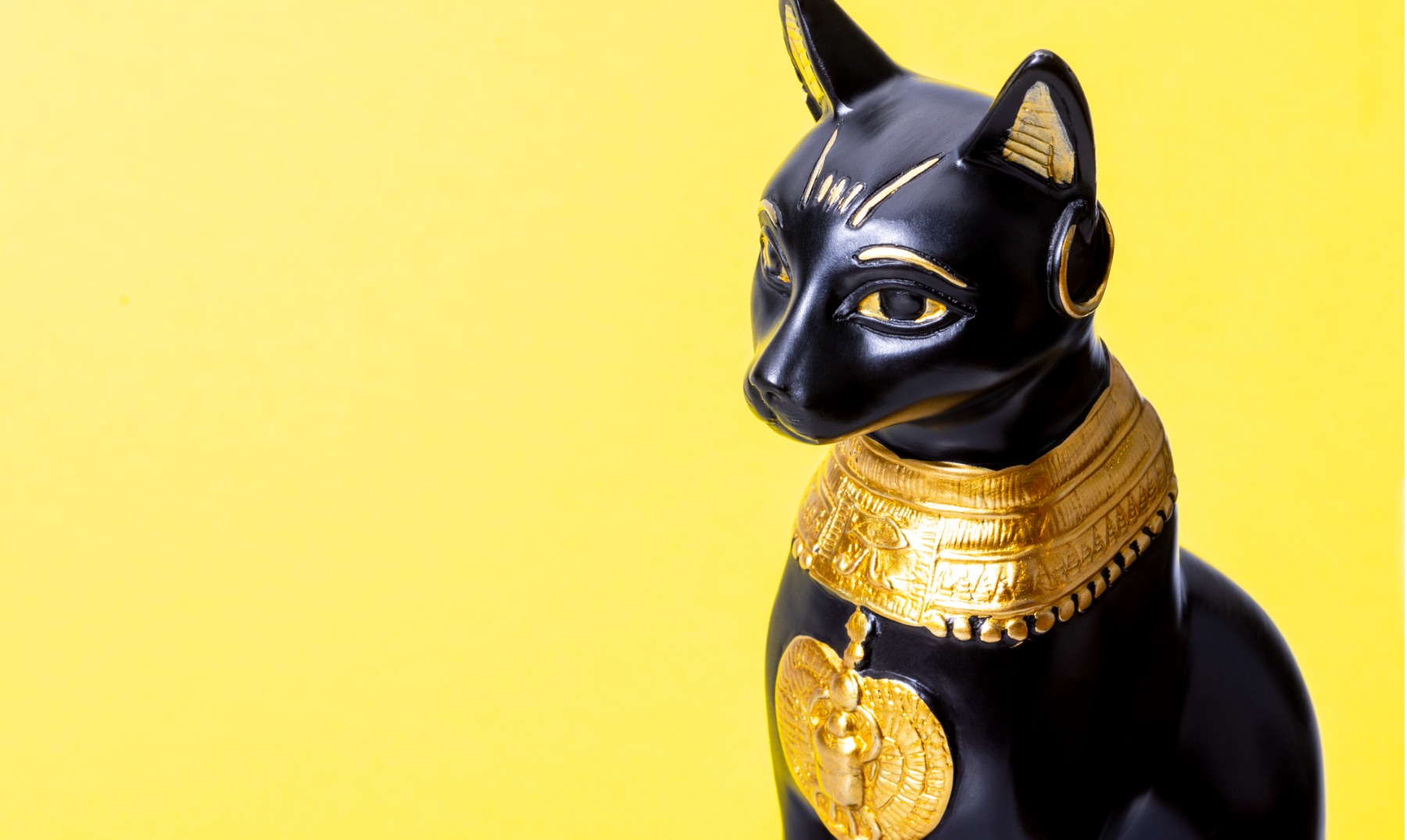 Sobriqueta astronauta feo Gatos en el Antiguo Egipto | ¿Por qué los adoraban?