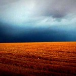 6 acertijos para divertirse pensando (I)