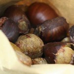 El origen ancestral del día de Todos los Santos