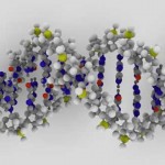 Representación 3D ADN