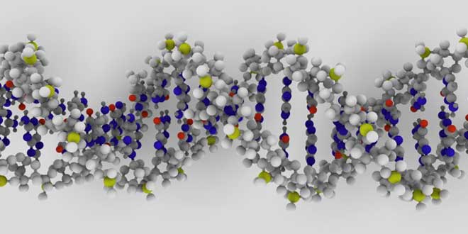 Representación 3D ADN