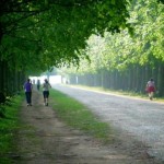 Endorfinas, las hormonas de la felicidad