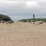 Acertijos para divertirse pensando (II)