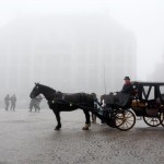 Sociedad de la Niebla. Supercurioso.