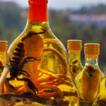 licores-con-animales-dentro