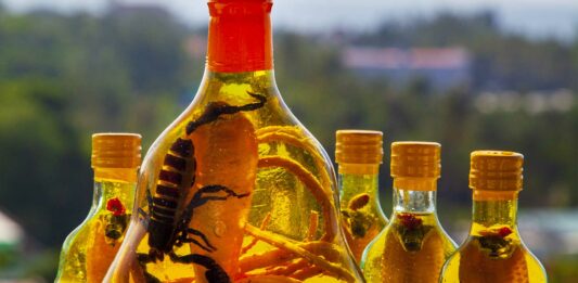 licores con animales dentro