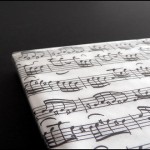 ¿Puede un pájaro volar 6 meses seguidos?