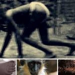 John Ssabunnya, el niño REALMENTE criado por monos