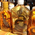 whisky-de-escorpion