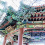 La verdadera historia de Mulán, la heroína china