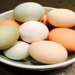 Huevos blancos, huevos marrones… pero, ¿cuál es la diferencia?