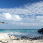 Subido a Atlas, la dama de piedra sumergida en las Bahamas