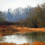 Las ciudades malditas de H.P. Lovecraft