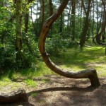 El portal a lo «maligno» de Hoia-Baciu, en Transilvania
