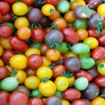 ¿Las granjas del futuro estarán en una habitación?