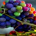 734515868_781_660x330-min