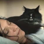 Trastorno del sueño