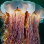 AdobeStock_177149975-min