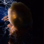 AdobeStock_216791561-min