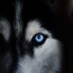 AdobeStock_75131433-min