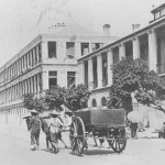 «El vampiro de Brooklyn», el peor caso caníbal de la historia