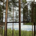 6 casas del árbol a las que querrás subir