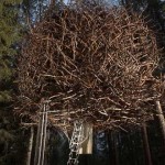 6 casas del árbol a las que querrás subir