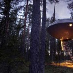 6 casas del árbol a las que querrás subir