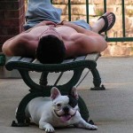 chico y su perro
