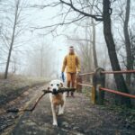 man-with-his-dog-walking-on-sidewalk-in-fog-picture-id1272266644