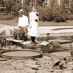 Mujer junto a nenúfar gigante (1902)