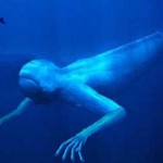 Los Ningen, las extrañas criaturas del Ártico