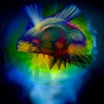 La música de Messiaen: mística y única, como el canto de los pájaros
