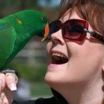 ¿Quién imitó primero, el loro o el humano?