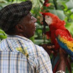 ¿Quién imitó primero, el loro o el humano?