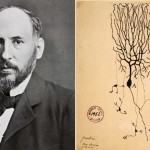 El artista de la neurona: Ramón y Cajal