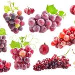 shutterstock_1105916066 (1)-min