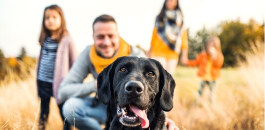 ¿Por qué el perro es el mejor amigo del hombre? | La ciencia de una amistad Por qué el perro es el mejor amigo del hombre