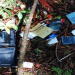 Aokigahara: El bosque de los suicidios de Japón