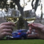 Brindis portada