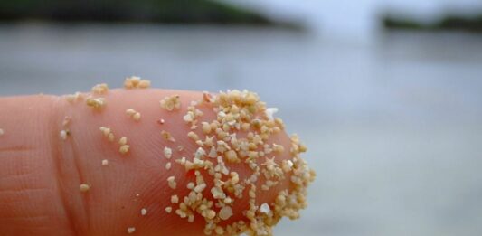 Hoshizuna-no-Hama | La playa de Japón con arena en forma de estrella